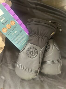 Hestra Black Men's Leather Ski Mittens